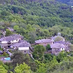 Kalinia Kovačevica