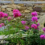 Kalinia Bed & Breakfast