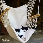 Bed & Breakfast Kalinia Kovacevica