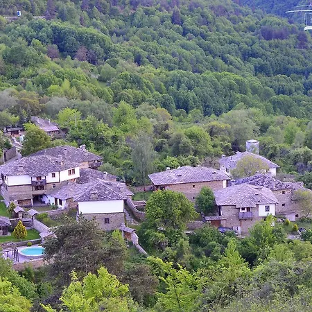 Kalinia Kovacevica