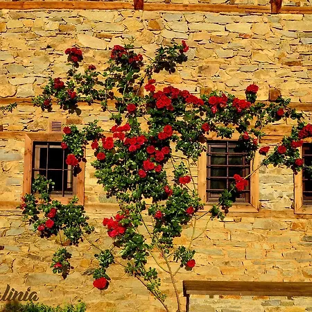 Kalinia 3* Kovacevica