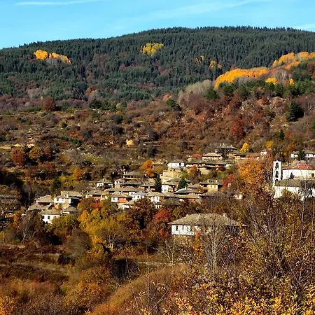 Kalinia
