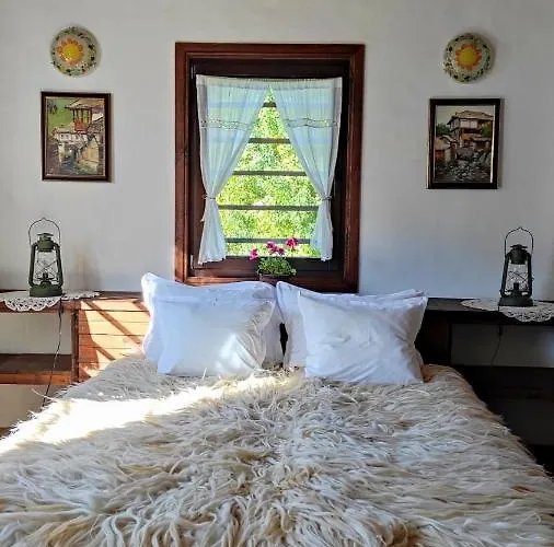 Kalinia 3* Kovacevica