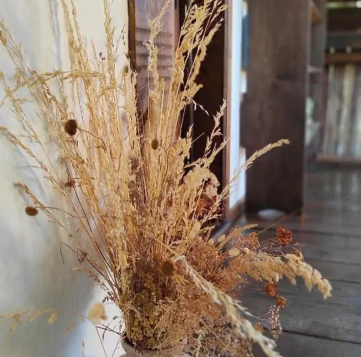 Bed & Breakfast Kalinia