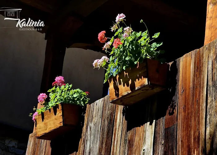 Bed & Breakfast Kalinia Kovacevica