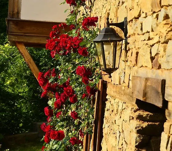 Bed & Breakfast Kalinia Kovacevica