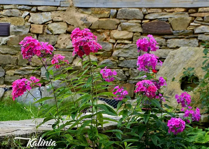 Kalinia Bed & Breakfast