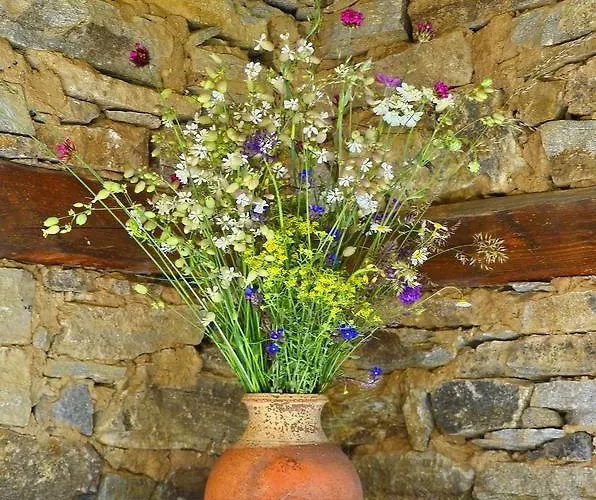 Kalinia 3* Kovacevica