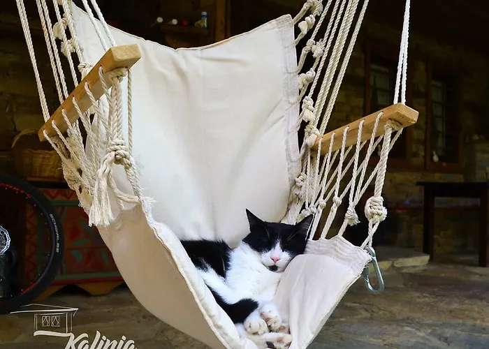 Bed & Breakfast Kalinia Kovacevica