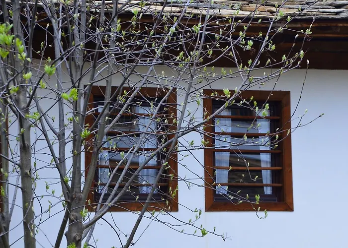 Kalinia Bed & Breakfast 3*