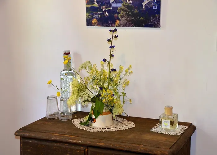 Bed & Breakfast Kalinia Kovacevica