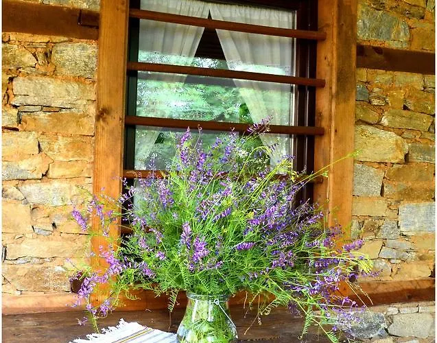 Kalinia 3* Kovacevica